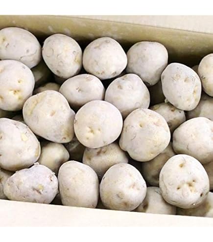 Amazon.co.jp: 北海道産 じゃがいも きたあかり (5kg 2Lサイズ) 男爵